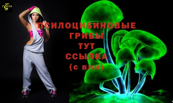 шишки Коряжма