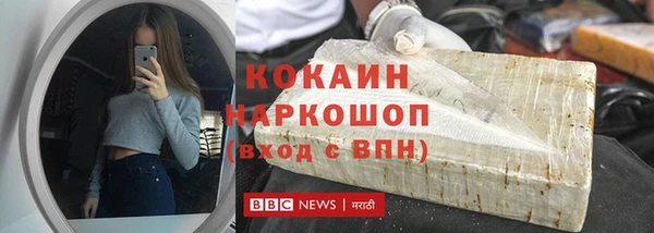 шишки Коряжма