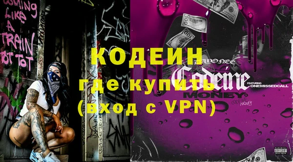 шишки Коряжма