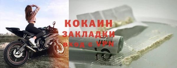 шишки Коряжма