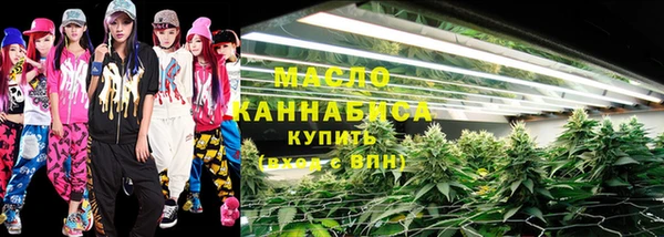 шишки Коряжма