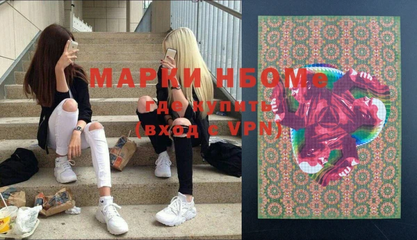 шишки Коряжма