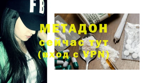 шишки Коряжма