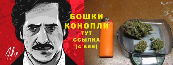 шишки Коряжма