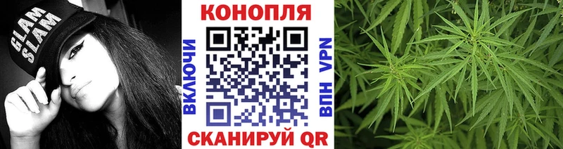 Бошки марихуана план  Купить закладки  Салаир 